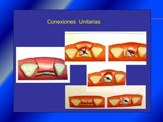 Clase Conexiones 2008 Alumn