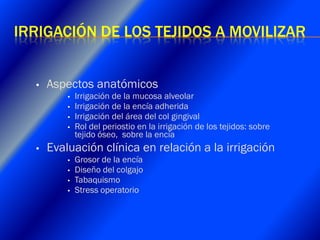 Clase Conexiones 2008 Alumn