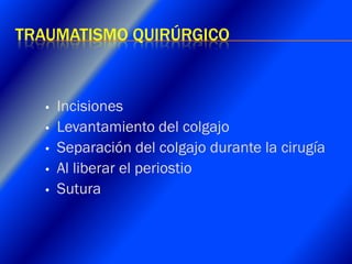 Clase Conexiones 2008 Alumn