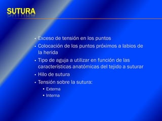 Clase Conexiones 2008 Alumn