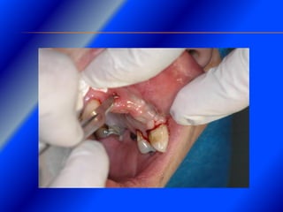 Clase Conexiones 2008 Alumn