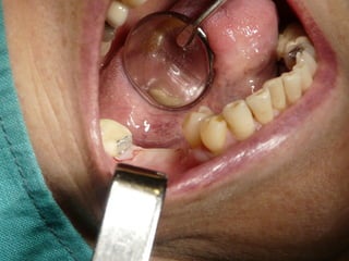 Clase Conexiones 2008 Alumn