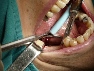 Clase Conexiones 2008 Alumn