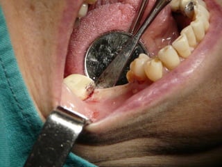 Clase Conexiones 2008 Alumn