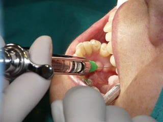 Clase Conexiones 2008 Alumn