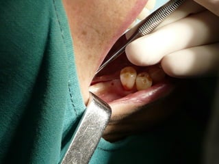 Clase Conexiones 2008 Alumn