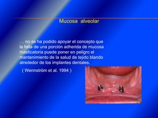 Clase Conexiones 2008 Alumn