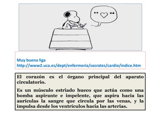 El corazón es el órgano principal del aparato
circulatorio.
Es un músculo estriado hueco que actúa como una
bomba aspirante e impelente, que aspira hacia las
aurículas la sangre que circula por las venas, y la
impulsa desde los ventrículos hacia las arterias.
CORAZON
Muy buena liga
http://www2.uca.es/dept/enfermeria/socrates/cardio/indice.htm
 