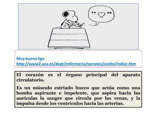 El corazón es el órgano principal del aparato
circulatorio.
Es un músculo estriado hueco que actúa como una
bomba aspirante e impelente, que aspira hacia las
aurículas la sangre que circula por las venas, y la
impulsa desde los ventrículos hacia las arterias.
Muy buena liga
http://www2.uca.es/dept/enfermeria/socrates/cardio/indice.htm
 