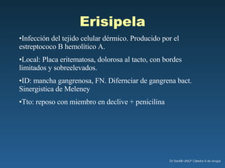 Erisipela Infección del tejido celular dérmico. Producido por el estreptococo B hemolítico   A. Local: Placa eritematosa, dolorosa al tacto, con bordes limitados y sobreelevados. ID: mancha gangrenosa, FN. Difernciar de gangrena bact. Sinergistica de Meleney Tto: reposo con miembro en declive + penicilina 