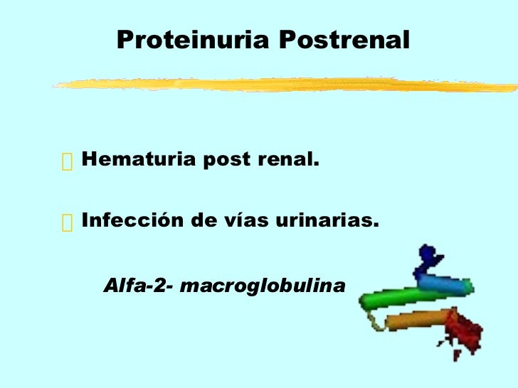Proteinuria y sus causas