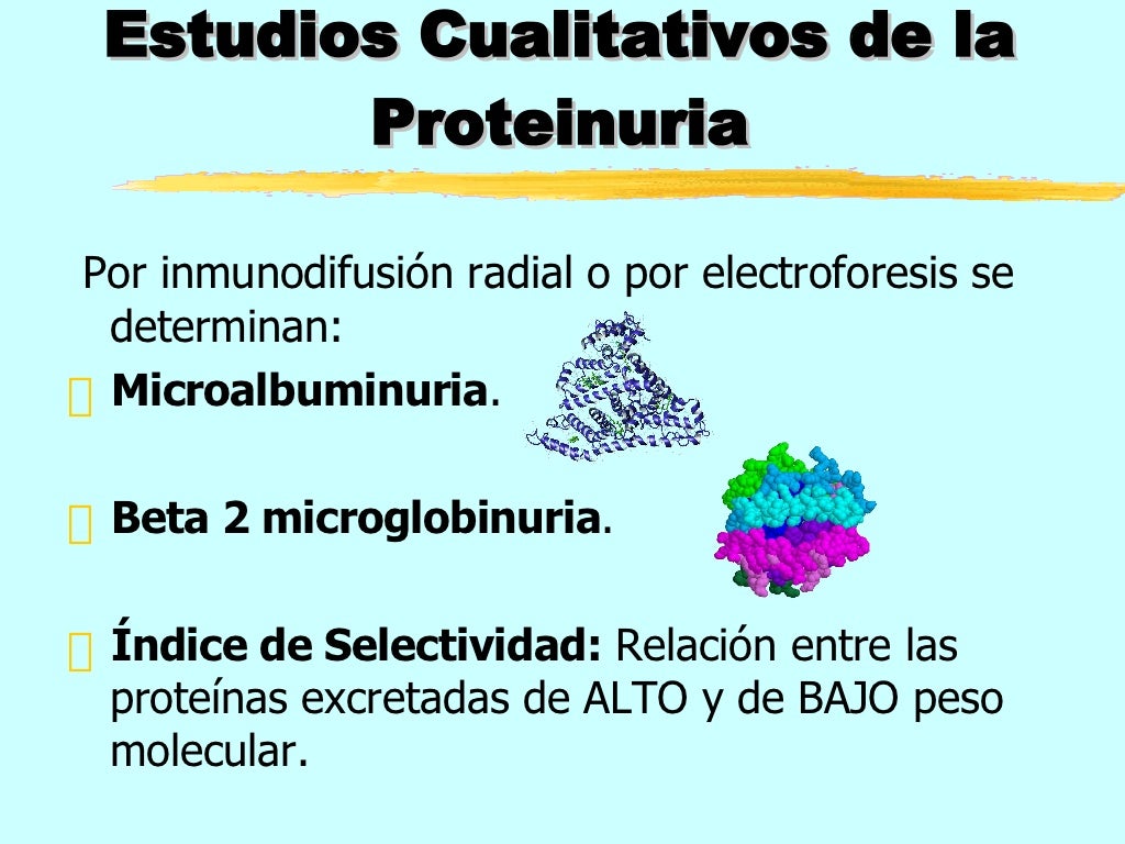 Proteinuria y sus causas
