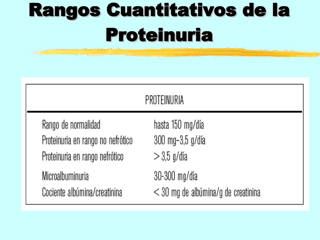 Proteinuria y sus causas