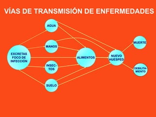 PRINCIPALES VÍAS DE TRANSMISIÓN DE
ENFERMEDADES POR EL AGUA
PRODUCTOS
HIDROBIOLÓGICOS
AGUAS
RECREACIONALES
PRODUCTOS
AGRÍC...