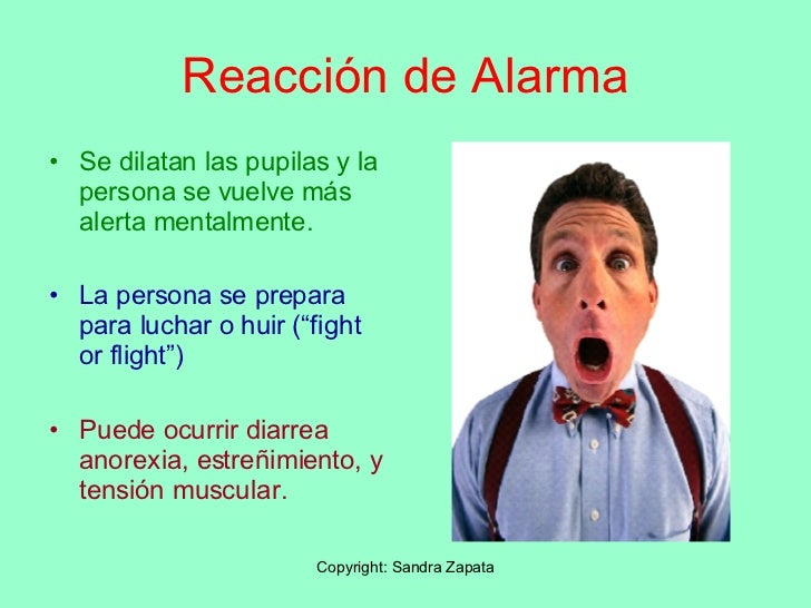 Clase De Stress