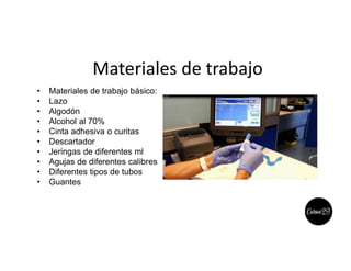 Materiales de trabajo
• Materiales de trabajo básico:
• Lazo
• Algodón
• Alcohol al 70%
• Cinta adhesiva o curitas
• Descartador
• Jeringas de diferentes ml
• Agujas de diferentes calibres
• Diferentes tipos de tubos
• Guantes
 