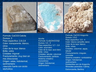Clase estructura | PPT