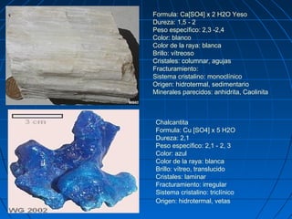 So4 Color Clase estructura | PPT