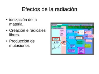 Efectos de la radiación
● ionización de la
materia.
● Creación e radicales
libres.
● Producción de
mutaciones
 