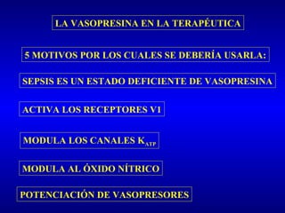 LA VASOPRESINA EN LA TERAPÉUTICA
5 MOTIVOS POR LOS CUALES SE DEBERÍA USARLA:
ACTIVA LOS RECEPTORES V1
MODULA LOS CANALES KATP
MODULA AL ÓXIDO NÍTRICO
POTENCIACIÓN DE VASOPRESORES
SEPSIS ES UN ESTADO DEFICIENTE DE VASOPRESINA
 