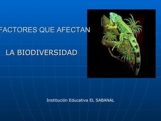 FACTORES QUE AFECTAN LA BIODIVERSIDAD Institución Educativa EL SABANAL 