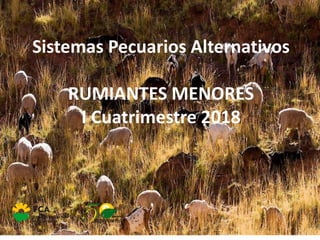 Sistemas Pecuarios Alternativos
RUMIANTES MENORES
I Cuatrimestre 2018
 