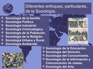 Diferentes enfoques, particulares,
de la Sociología.
 Sociología de la familia.
 Sociología Política.
 Sociología Industrial.
 Sociología Criminalógica.
 Sociología de la Población.
 Sociología de la Religión.
 Sociología Urbana y Rural.
 Sociología Ambiental.
 Sociología de la Educación.
 Sociología del Derecho.
 Sociología del Conocimiento.
 Sociología de la Información y
Comunicación de masas.
 Sociología del Arte.
 
