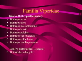 Familia Viperidae Género Bothrops (8 especies): Bothrops asper Bothrops atrox Bothrops microphtalmus Bothrops brazili Bothrops pulcher Bothrops venezuelensis Bothrops colombiana Bothrops xanthogrammus Género Bothriechis (1 especie) Bothriechis schlegelli 