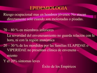 EPIDEMIOLOGIA Riesgo ocupacional mas en hombres jóvenes. No atacan directamente solo cuando son molestadas o pisadas. 70 – 80 % en miembros inferiores La severidad del envenenamiento no guarda relación con la hora, ni con la región anatómica 20 – 30 % de los mordidos por las familias ELAPIDAE o VIPERIDAE no presentan clínica de envenena – miento Y el 20% sintomas leves Éxito de los Empiricos  