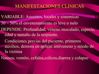 MANIFESTACIONES CLINICAS VARIABLE: Ausentes, locales y sistemicas 30 – 50% el envenenamiento es leve o nulo DEPENDE: Profundidad, veneno inoculado, especie, edad y tamaño de la serpiente. Condiciones previas del paciente, primeros auxilios, demora en aplicar antiveneno y miedo de la victima Nausea, vomito, cefalea,colicos,diarrea y colapso 
