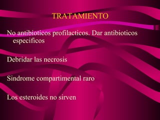 TRATAMIENTO No antibioticos profilacticos. Dar antibioticos especificos Debridar las necrosis Sindrome compartimental raro Los esteroides no sirven 