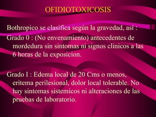 OFIDIOTOXICOSIS Bothropico se clasifica según la gravedad, así : Grado 0 : (No envenamiento) antecedentes de mordedura sin sintomas ni signos clinicos a las 6 horas de la exposicion. Grado I : Edema local de 20 Cms o menos, eritema perilesional, dolor local tolerable. No hay sintomas sistemicos ni alteraciones de las pruebas de laboratorio. 