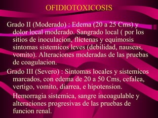 OFIDIOTOXICOSIS Grado II (Moderado) : Edema (20 a 25 Cms) y dolor local moderado. Sangrado local ( por los sitios de inoculacion, flictenas y equimosis sintomas sistemicos leves (debilidad, nauseas, vomito). Alteraciones moderadas de las pruebas de coagulacion. Grado III (Severo) : Sintomas locales y sistemicos marcados, con edema de 20 a 50 Cms, cefalea, vertigo, vomito, diarrea, e hipotension. Hemorragia sistemica, sangre incoagulable y alteraciones progresivas de las pruebas de funcion renal. 