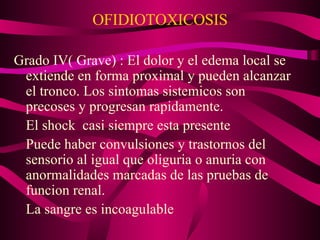 OFIDIOTOXICOSIS Grado IV( Grave) : El dolor y el edema local se extiende en forma proximal y pueden alcanzar el tronco. Los sintomas sistemicos son precoses y progresan rapidamente. El shock  casi siempre esta presente Puede haber convulsiones y trastornos del sensorio al igual que oliguria o anuria con anormalidades marcadas de las pruebas de funcion renal. La sangre es incoagulable  
