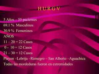 H U R G V  5 Años – 55 pacientes 69.1 %  Masculinos 30.9 %  Femeninos AÑOS 11 – 20 = 22 Casos 0 -  10 = 12 Casos 21 – 30 = 12 Casos Playon –Lebrija –Rionegro – San Alberto –Aguachica Todas las mordeduras fueron en extremidades 