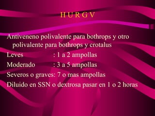 H U R G V Antiveneno polivalente para bothrops y otro polivalente para bothrops y crotalus Leves  : 1 a 2 ampollas Moderado  : 3 a 5 ampollas Severos o graves: 7 o mas ampollas Diluido en SSN o dextrosa pasar en 1 o 2 horas 
