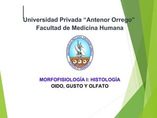 Universidad Privada “Antenor Orrego”
Facultad de Medicina Humana
MORFOFISIOLOGÍA I: HISTOLOGÍA
OIDO, GUSTO Y OLFATO
 