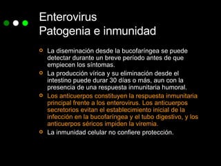 La diseminación desde la bucofaríngea se puede detectar durante un breve período antes de que empiecen los síntomas. La producción vírica y su eliminación desde el intestino puede durar 30 días o más, aun con la presencia de una respuesta inmunitaria humoral. Los anticuerpos constituyen la respuesta inmunitaria principal frente a los enterovirus. Los anticuerpos secretorios evitan el establecimiento inicial de la infección en la bucofaríngea y el tubo digestivo, y los anticuerpos séricos impiden la viremia. La inmunidad celular no confiere protección.  Enterovirus Patogenia e inmunidad 