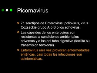 Picornavirus 71 serotipos de Enterovirus: poliovirus, virus Coxsackie grupo A o B o los echovirus. Las cápsides de los enterovirus son resistentes a condiciones ambientales adversas y a las del tubo digestivo (facilita su transmision feco-oral). Enterovirus rara vez provocan enfermedades entéricas, casi todas las infecciones son asintomáticas. 