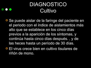 DIAGNOSTICO Cultivo Se puede aislar de la faringe del paciente  en el periodo con el índice de aislamientos más alto que se establece en los cinco días previos a la aparición de los síntomas, y continúa hasta cinco días después.  , y de las heces hasta un período de 30 días. El virus crece bien en cultivo tisulares de riñón de mono.  
