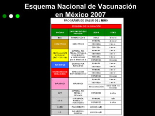 Esquema Nacional de Vacunación  en México 2007 