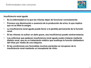 Insuficiencia renal aguda
• Es la enfermedad en la que los riñones dejan de funcionar correctamente.
• Provoca una disminución o ausencia de la producción de orina, lo que implica
que no se filtre la sangre.
• La insuficiencia renal aguda puede llevar a la pérdida permanente de la función
renal.
• Si los riñones no sufren un daño grave, esa insuficiencia puede contrarrestarse.
• Los enfermos que padecen insuficiencia renal aguda suelen tratarse mediante
dialisis renal, que es un tratamiento médico que sustituye la función dializadora
del riños por medio de una máquina.
• Si las condiciones son favorables muchos pacientes se recuperan de la
insuficiencia renal mediante un transplante de riñón.
Enfermedades más comunes
17
 