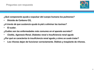 ¿Qué componente ayuda a expulsar del cuerpo humano los pulmones?
• Dióxido de Carbono CO2
¿A través de que sustancia ayuda la piel a eliminar las toxinas?
• El sudor.
¿Cuáles son las enfermedades más comunes en el aparato excretor?
• Cistitis, Agenesia Renal, Diabetes renal e Insuficiencia renal aguda
¿Por qué se caracteriza la insuficiencia renal aguda y cómo se suele tratar?
• Los riñones dejan de funcionar correctamente. Diálisis y trasplante de riñones.
Preguntas con respuesta
20
 