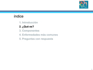 5
índice
1. Introducción
2. ¿Qué es?
3. Componentes
4. Enfermedades más comunes
5. Preguntas con respuesta
 