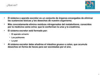 • El sistema o aparato excretor es un conjunto de órganos encargados de eliminar
las sustancias tóxicas y los desechos de nuestro organismo.
• Más concretamente elimina residuos nitrogenados del metabolismo, conocidos
por la medicina como orina; que lo conforman la urea y la creatinina.
• El sistema excretor está formado por:
• El aparato urinario
• Los pulmones
• La piel
• Al sistema excretor debe añadirse el intestino grueso o colon, que acumula
desechos en forma de heces para ser excretadas por el ano.
¿Qué es?
6
 
