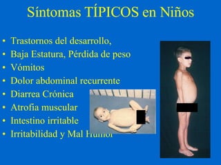 Síntomas TÍPICOS en Niños Trastornos del desarrollo, Baja Estatura, Pérdida de peso  Vómitos  Dolor abdominal recurrente Diarrea Crónica Atrofia muscular  Intestino irritable  Irritabilidad y Mal Humor   