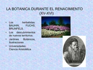 LA BOTANICA DURANTE EL RENACIMIENTO  (XV-XVI) Los herbalistas: BAUHIN, FUCHS, BRUNFELS. Los descubrimientos de nuevos territorios. Jardines Botánicos, Ilustraciones Universidades: Ciencia Aristotélica 