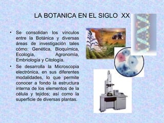LA BOTANICA EN EL SIGLO  XX Se consolidan los vínculos entre la Botánica y diversas áreas de investigación tales cómo: Genética, Bioquímica, Ecología, Agronomía, Embriología y Citología. Se desarrolla la Microscopia electrónica, en sus diferentes modalidades, lo que permite conocer a fondo la estructura interna de los elementos de la célula y tejidos; así como la superficie de diversas plantas. 