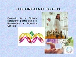 LA BOTANICA EN EL SIGLO  XX Desarrollo de la Biología Molecular de plantas junto a la Biotecnología e Ingeniería Genética. 