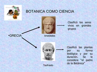 BOTANICA COMO CIENCIA GRECIA Clasificó los seres vivos en grandes grupos Clasificó las plantas por su forma biológica y por su duración. Se le considera “el padre de la Botánica” Aristóteles Teofrasto 